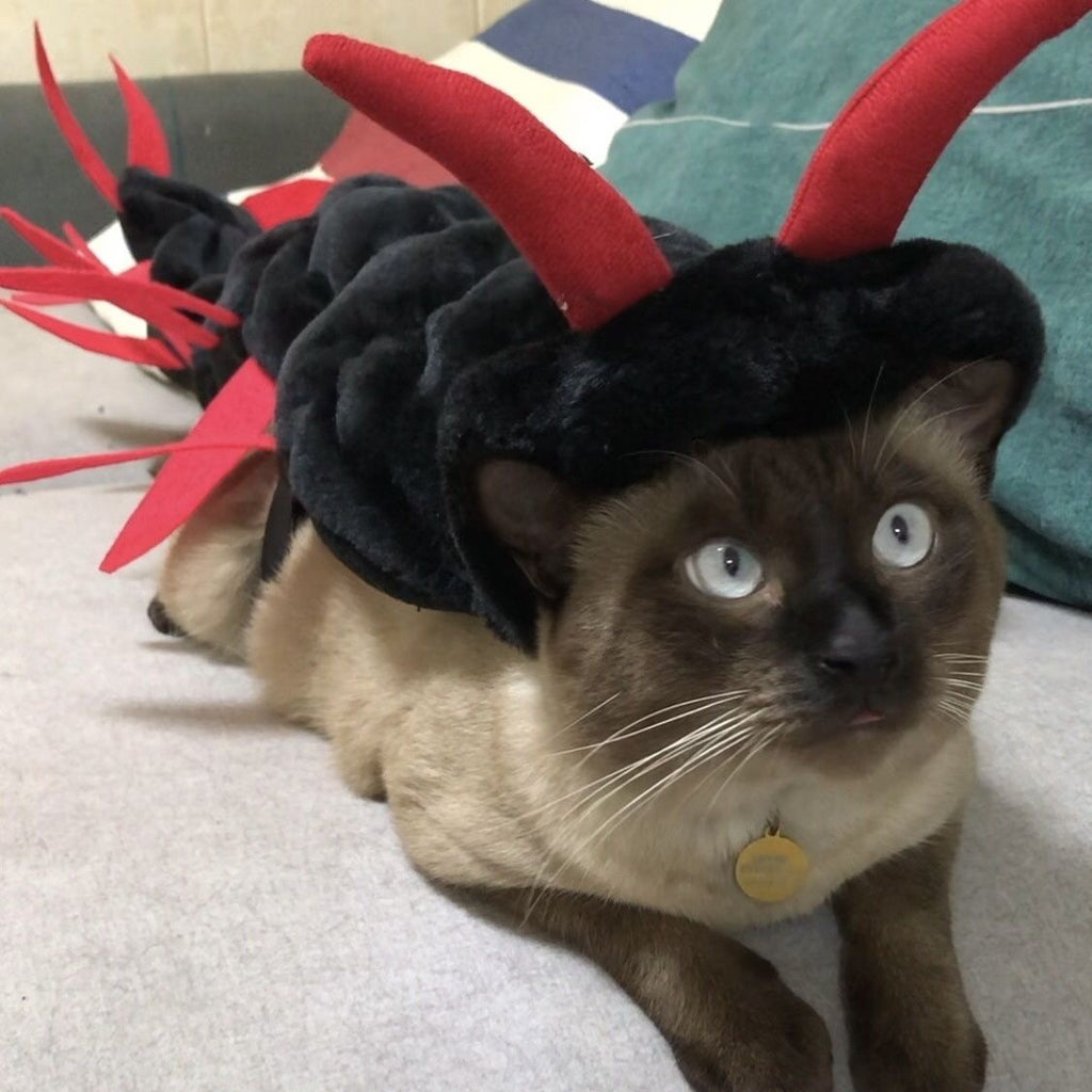 Halloween Centipede Costume for Cats and Dogs