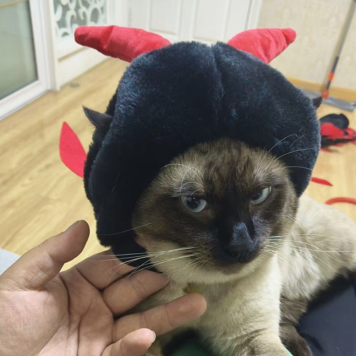 Halloween Centipede Costume for Cats and Dogs