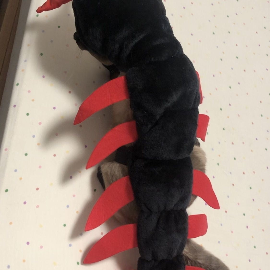 Halloween Centipede Costume for Cats and Dogs